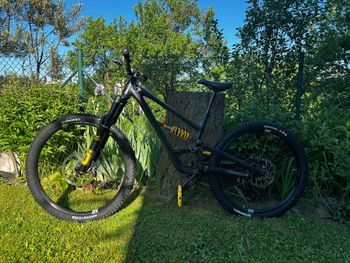 Used YT Industries Capra 29 CORE 3 AL 2025 2025 Mountainbike, Black — image 2 of 12