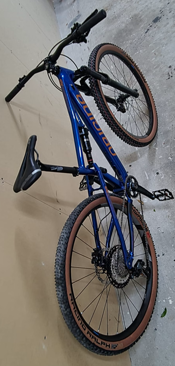 Used Origine Naja 2021 Mountainbike, Blue — image 1 of 3