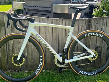 Used Specialized Tarmac SL7 Frameset 2021 Frameset 2021 Road & Gravel, White — image 2 of 4