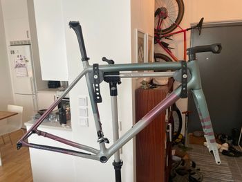 Used Specialized Crux 10r Frameset 2026 Frameset 2026 Road & Gravel