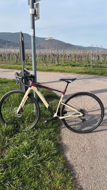 Used Cannondale Cannondale Topstone 3 Carbon 2023 2023 Carretera y gravel