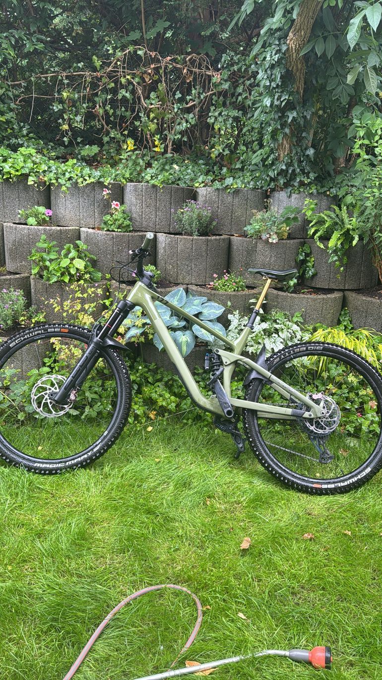 Used CUBE STEREO ONE77 C:68X TM 29 2023 2023 Mountainbike, Grün, 29 — image 2 of 3