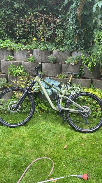 Used CUBE STEREO ONE77 C:68X TM 29 2023 2023 Mountainbike, Grün, 29 — image 3 of 3