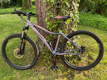 Used Morrison Morrison Custom Shimano Acera 2018 Mountainbike, Hellgrau — image 4 of 13
