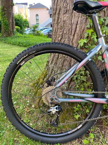 Used Morrison Morrison Custom Shimano Acera 2018 Mountainbike, Hellgrau — image 13 of 13