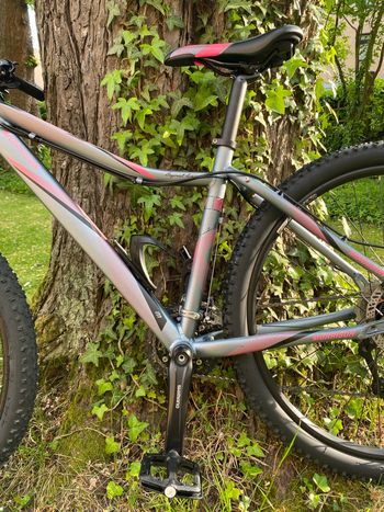 Used Morrison Morrison Custom Shimano Acera 2018 Mountainbike, Hellgrau — image 2 of 13