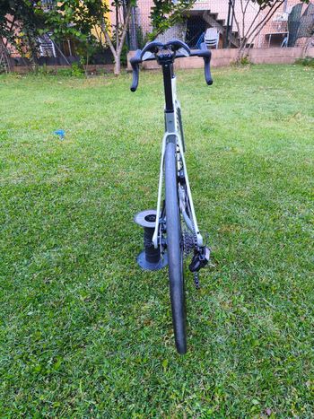 Used Megamo PULSE ELITE 12 SH12 2024 2024 Road & Gravel, White — image 10 of 10