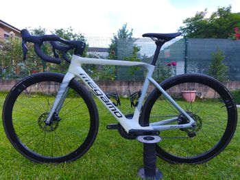Used Megamo PULSE ELITE 12 SH12 2024 2024 Road & Gravel, White — image 2 of 10