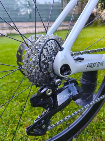 Used Megamo PULSE ELITE 12 SH12 2024 2024 Road & Gravel, White — image 4 of 10