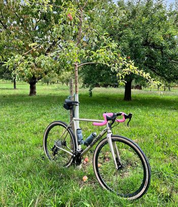 Used Standert Pfadfinder Champagne Supernova Sram Rival AXS Etap POWERMETER 2023 2023 Road & Gravel, Hellgrau — image 2 of 3
