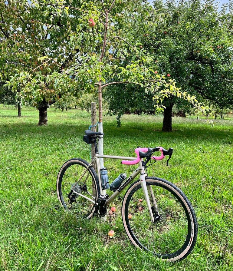 Used Standert Pfadfinder Champagne Supernova Sram Rival AXS Etap POWERMETER 2023 2023 Road & Gravel, Hellgrau — image 2 of 3