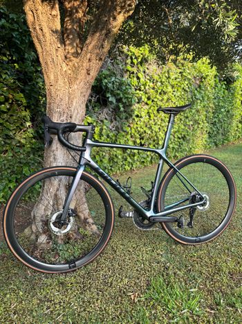 Used Giant Tcr Shimano Ultegra Di2 2023 Road & Gravel, Hellgrau — image 2 of 7
