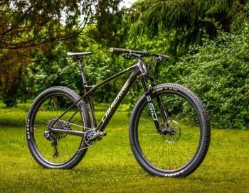Used Lapierre Prorace CF 9.9 2023 2023 Mountainbike, Black, 29 — image 3 of 5