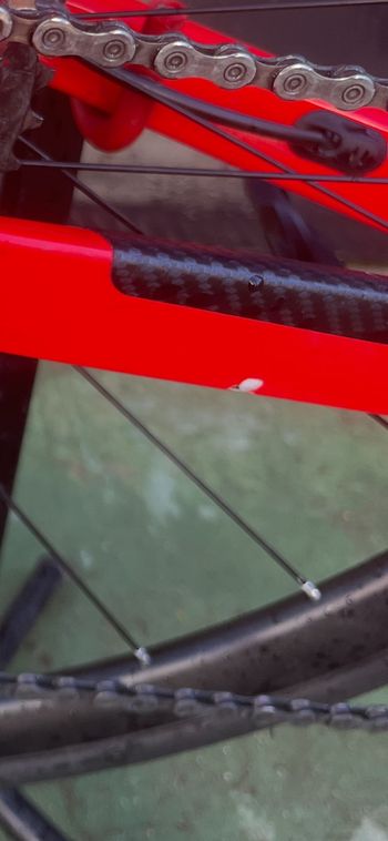 Brugt Trek Madone SL 6 2021 2021 Road & Gravel — billede 17 af 17