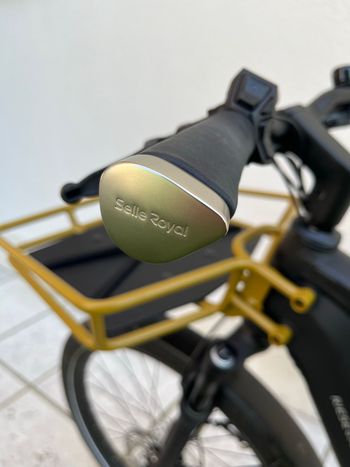 Used Riese & Müller Multicharger2 GT family 2025 2025 Urban, Black — image 11 of 12