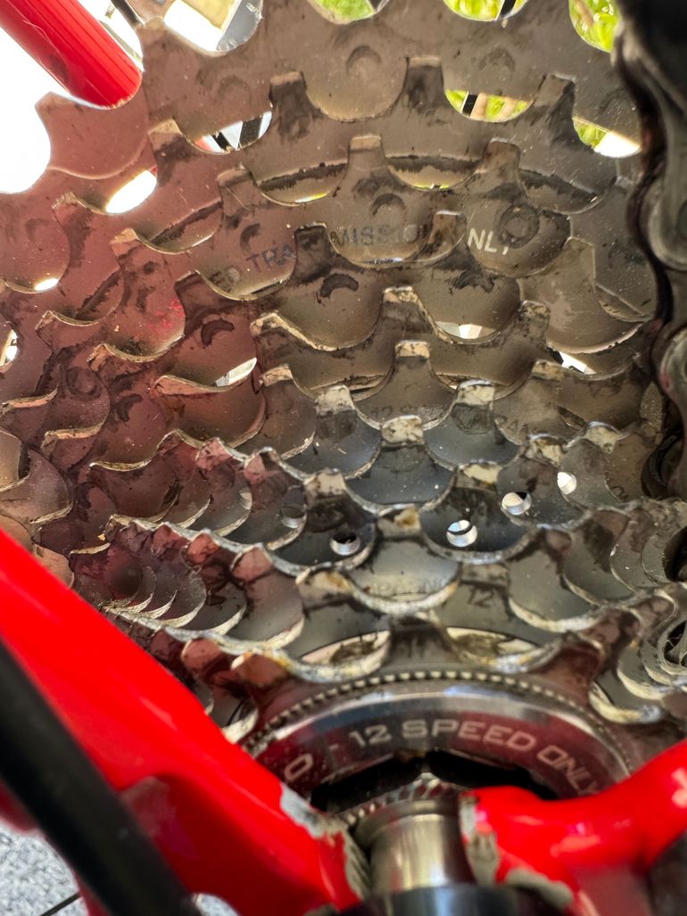 Used Masi VINTAGE Masi Gran Coursa (1990?) With MODERN 12-speed Campy Chorus 1990 Road & Gravel, Red — image 6 of 27