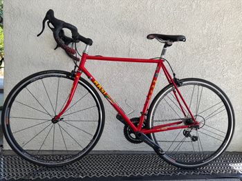 Used Masi VINTAGE Masi Gran Coursa (1990?) With MODERN 12-speed Campy Chorus 1990 Road & Gravel