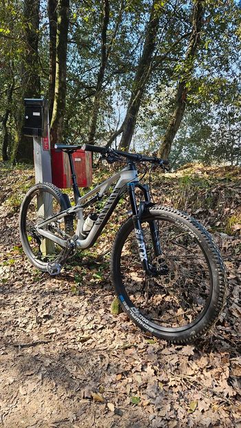 Used Canyon Canyon Neuron CF7 2023 Mountainbike, Light Gray — image 3 of 6
