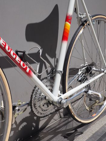 Used Peugeot Peugeot Custom Other 1991 Road & Gravel, Bianco — image 12 of 15