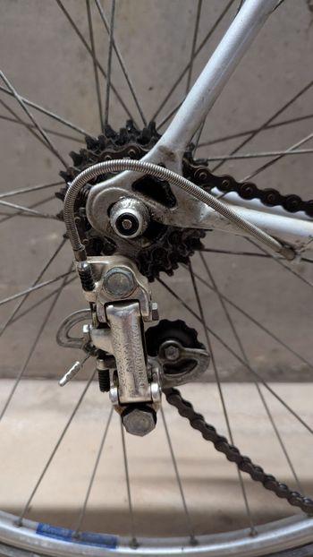 Used Olmo Olmo Custom Campagnolo Record 1980 Road & Gravel — image 8 of 12
