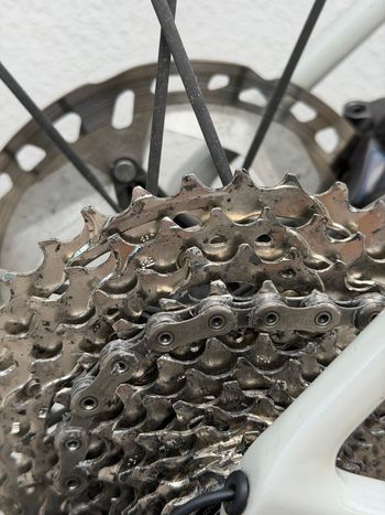 Used Canyon Canyon Endurace CF SL 8 Di2 2023 2023 Road & Gravel, Gris claro — image 23 of 35
