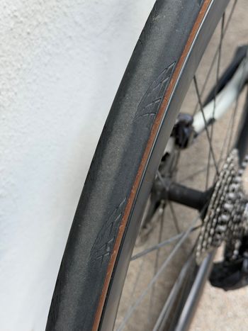 Used Canyon Canyon Endurace CF SL 8 Di2 2023 2023 Road & Gravel, Gris claro — image 29 of 35