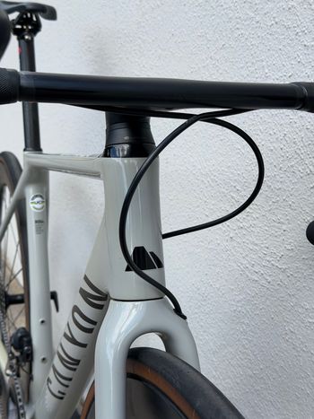 Used Canyon Canyon Endurace CF SL 8 Di2 2023 2023 Road & Gravel, Gris claro — image 10 of 35