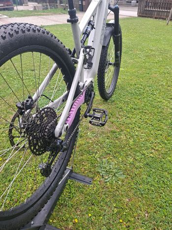 Used Econo Econo Custom Shimano CUES 2025 Mountainbike — image 3 of 5