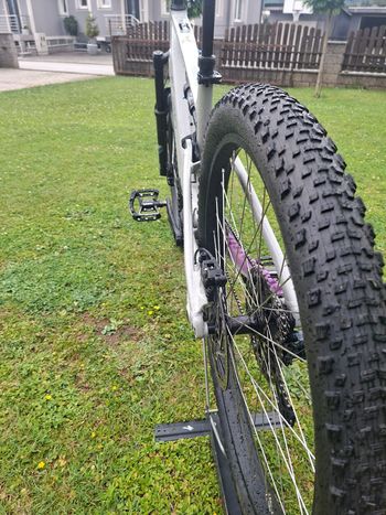 Used Econo Econo Custom Shimano CUES 2025 Mountainbike — image 4 of 5