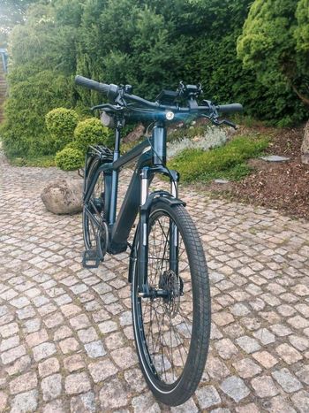 Used Canyon Canyon Aroad CF SLX 2024 Road & Gravel, Hellgrau — image 8 of 13