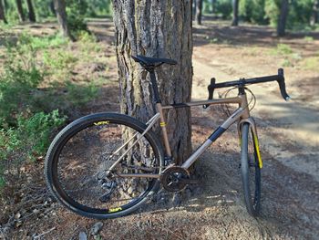 Used WRC Kalima 2023 Road & Gravel, Orange — image 5 of 9