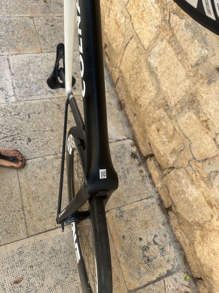 Used Colnago V5Rs Frameset 2025 Road & Gravel, White — image 3 of 10