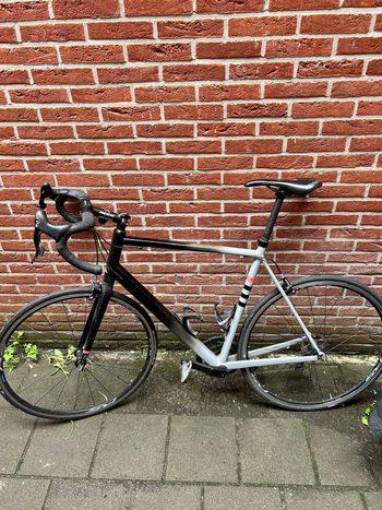 Used Canyon Endurace Campagnolo Athena 2019 Road & Gravel, Black — image 3 of 5