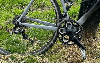Used Canyon Endurace Campagnolo Athena 2019 Road & Gravel, Black — image 2 of 5