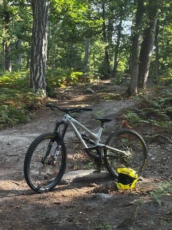 Used YT Industries Capra Shred 29 2021 2021 Mountainbike, Light Gray, 29 — image 4 of 4