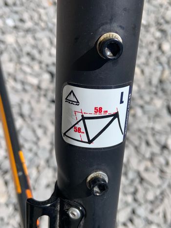Used Fuji Granfondo Classico LE Frameset Frameset 2019 Road & Gravel — image 8 of 9