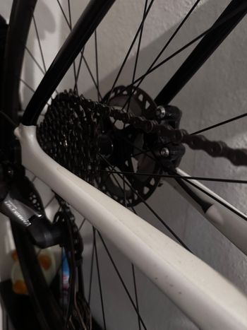 Used Cannondale SuperSix EVO Carbon Disc Ultegra 2025 Road & Gravel, White — image 4 of 7
