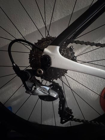 Used Cannondale SuperSix EVO Carbon Disc Ultegra 2025 Road & Gravel, White — image 6 of 7