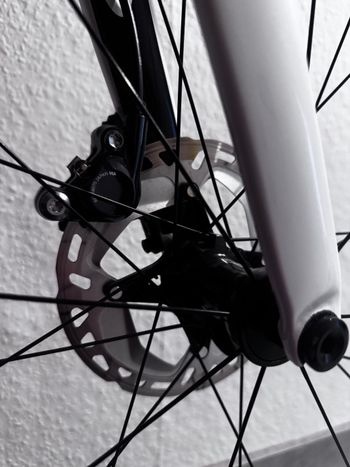 Used Cannondale SuperSix EVO Carbon Disc Ultegra 2025 Road & Gravel, White — image 3 of 7