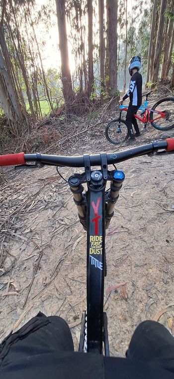 Used YT Industries Tues Single Speed / Fixed Gear 2017 Mountainbike, Black — image 6 of 8