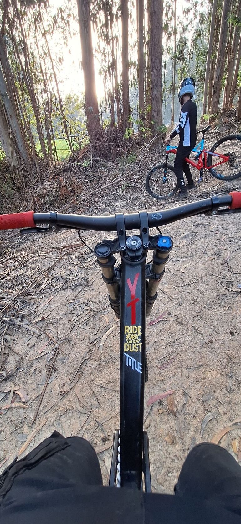 Used YT Industries Tues Single Speed / Fixed Gear 2017 Mountainbike, Black — image 6 of 8