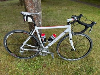 Used Peugeot Peugeot 200 Ans 2010 Road & Gravel — image 4 of 4