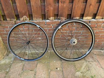 Used Rose XEON CW Ultegra 2019 2019 Road & Gravel, Grün — image 9 of 11
