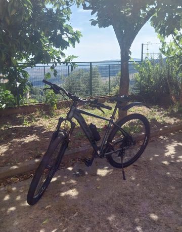 Used GFM Urany 2024 Mountainbike, Blue — image 3 of 4