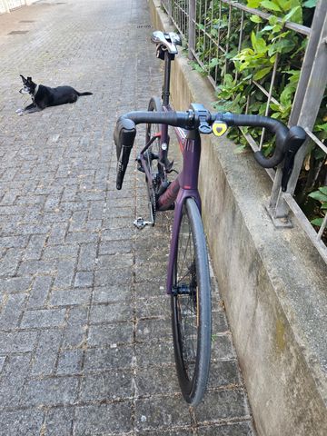 Used BMC Roadmachine 01 FOUR 2022 2022 Road & Gravel, Purple — image 6 of 7