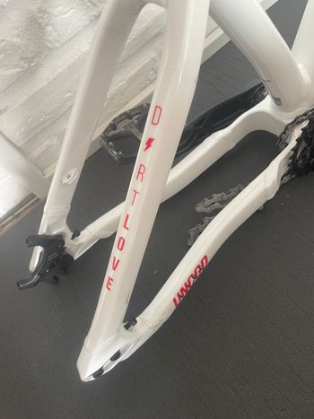 Used YT Yt Dirt Love Frameset Frameset 2025 Mountainbike, White — image 3 of 11