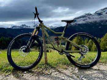 Used Rose ROOT MILLER 3 2021 2021 Mountainbike, Grün, 29 — image 2 of 17