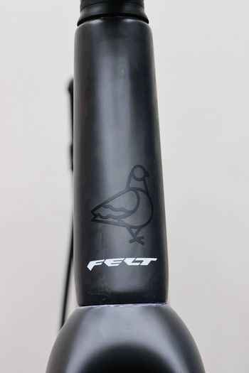 Used Felt BREED FRD UN1TD LE SRAM RED XPLOR AXS 2025 2025 Road & Gravel, Black — image 26 of 31