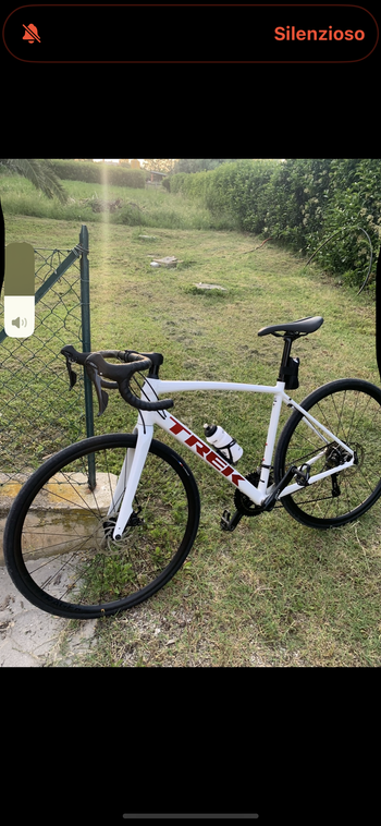 Used Trek Domane AL 3 Disc 2023 2023 Road & Gravel