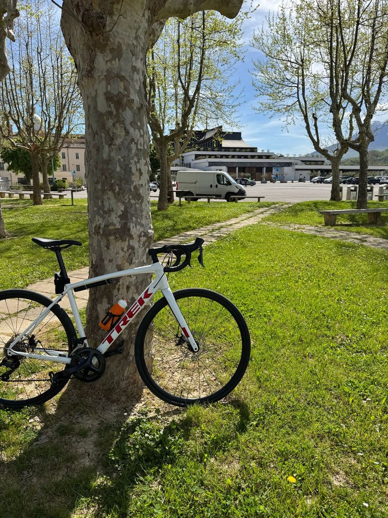 Used Trek Domane AL 3 Disc 2023 2023 Road & Gravel, White — image 5 of 6